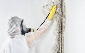 West Liberty, OH Mold Inspection Company